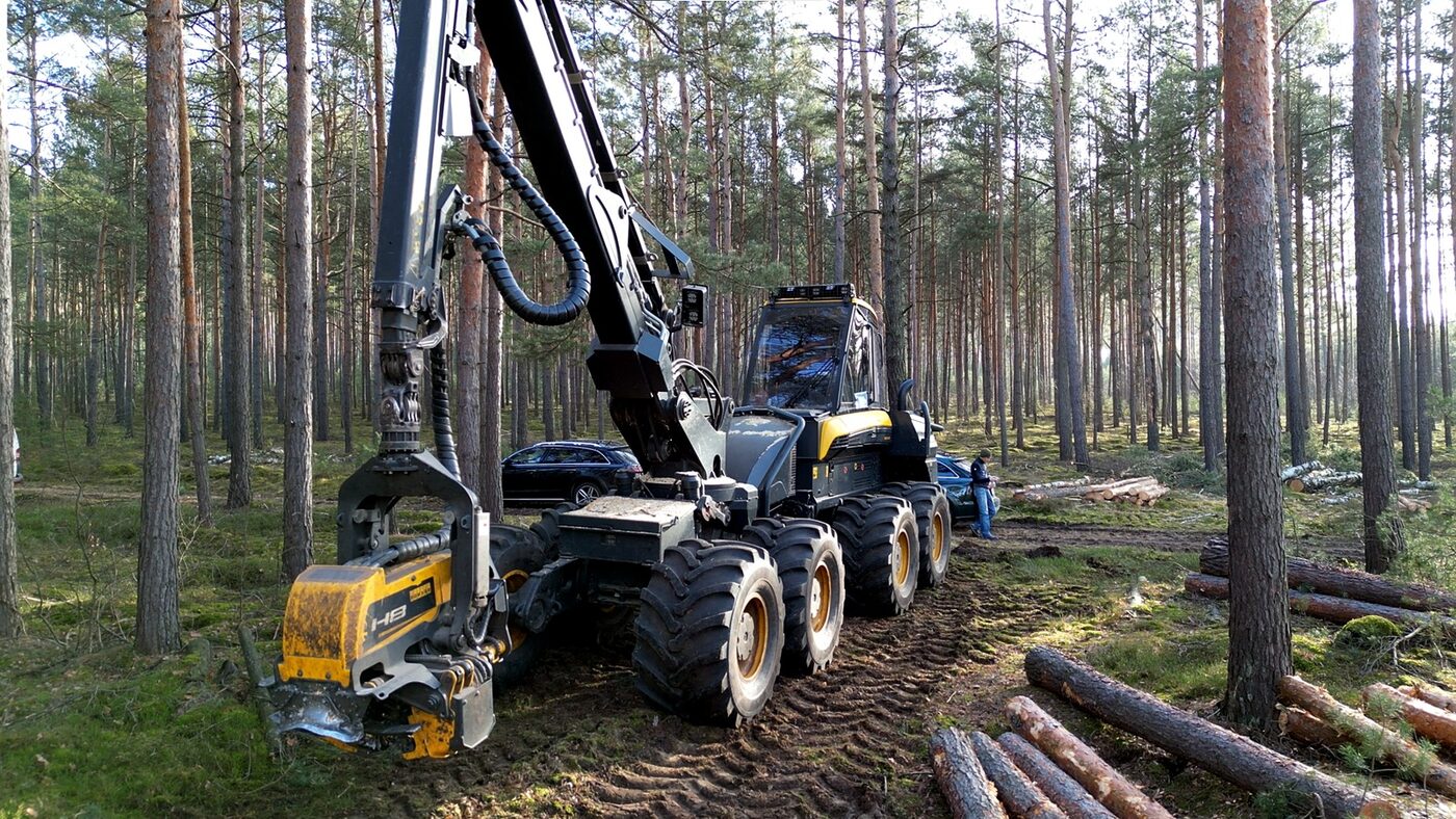 Harvester im Bestand